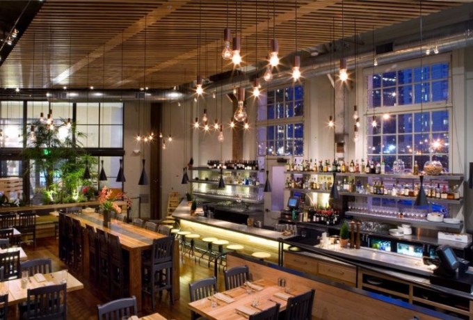 Plant-Cafe-Organic-5
